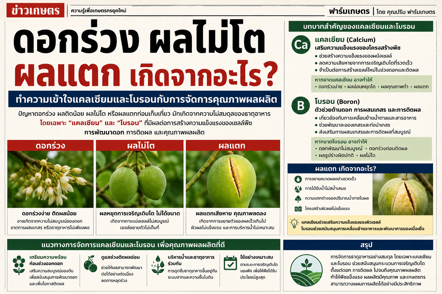 ดอกร่วง ผลไม่โต ผลแตก เกิดจากอะไร? ทำความเข้าใจแคลเซียมและโบรอนกับการจัดการคุณภาพผลผลิต