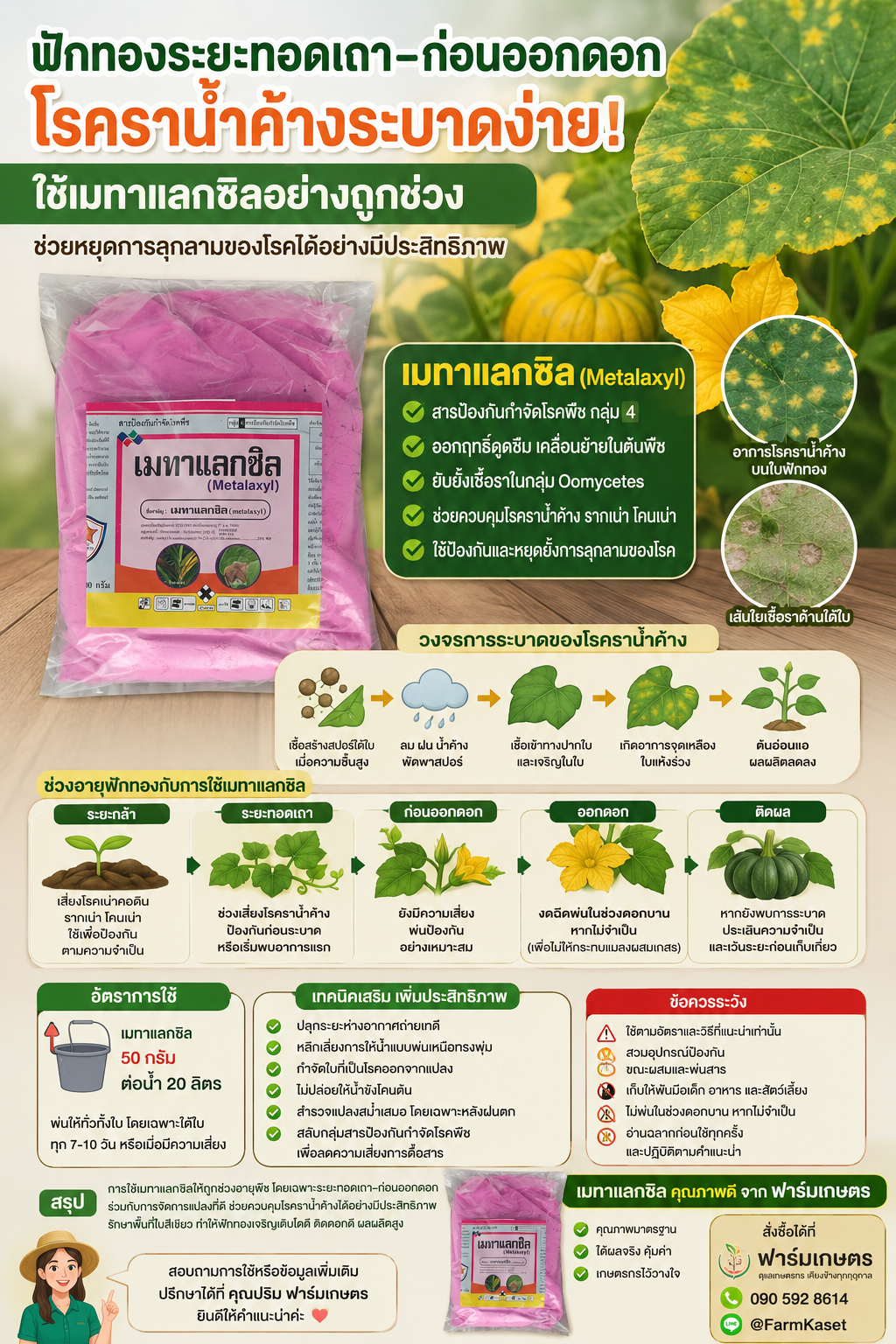 ฟักทองระยะทอดเถา–ก่อนออกดอก เสี่ยงโรคราน้ำค้างในฤดูฝน! ใช้เมทาแลกซซิลอย่างถูกช่วง ช่วยหยุดการลุกลามของโรคได้อย่างมีประสิทธิภาพ