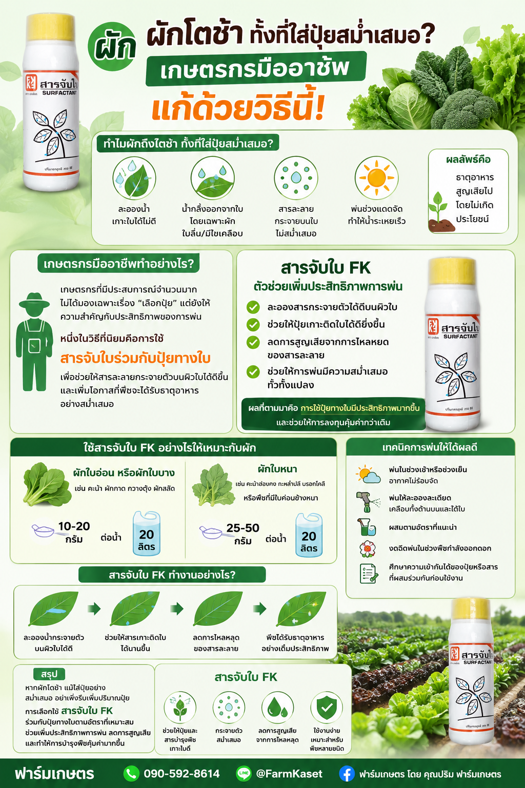 ผักโตช้า ทั้งที่ใส่ปุ๋ยสม่ำเสมอ? เกษตรกรมืออาชีพแก้ด้วยวิธีนี้