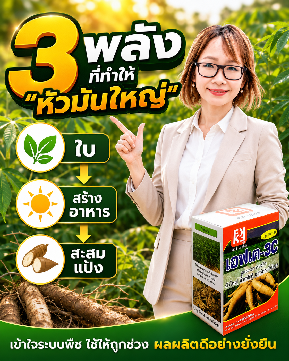 ทำไมมันสำปะหลัง “ต้นสวย” แต่หัวไม่โต? มองปัญหาแบบ System Thinking แล้วแก้ให้ตรงจุด