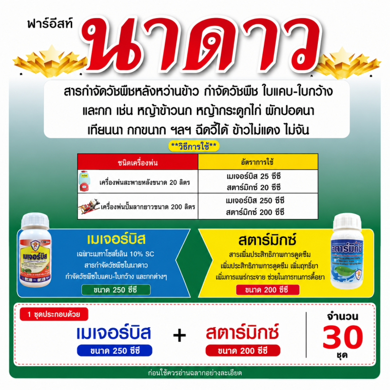 ค้าส่งยกลัง ชุดนาดาว (เมเจอร์บิส + สตาร์มิกซ์ ) ( 1เซ็ต x 30 ชุด.)