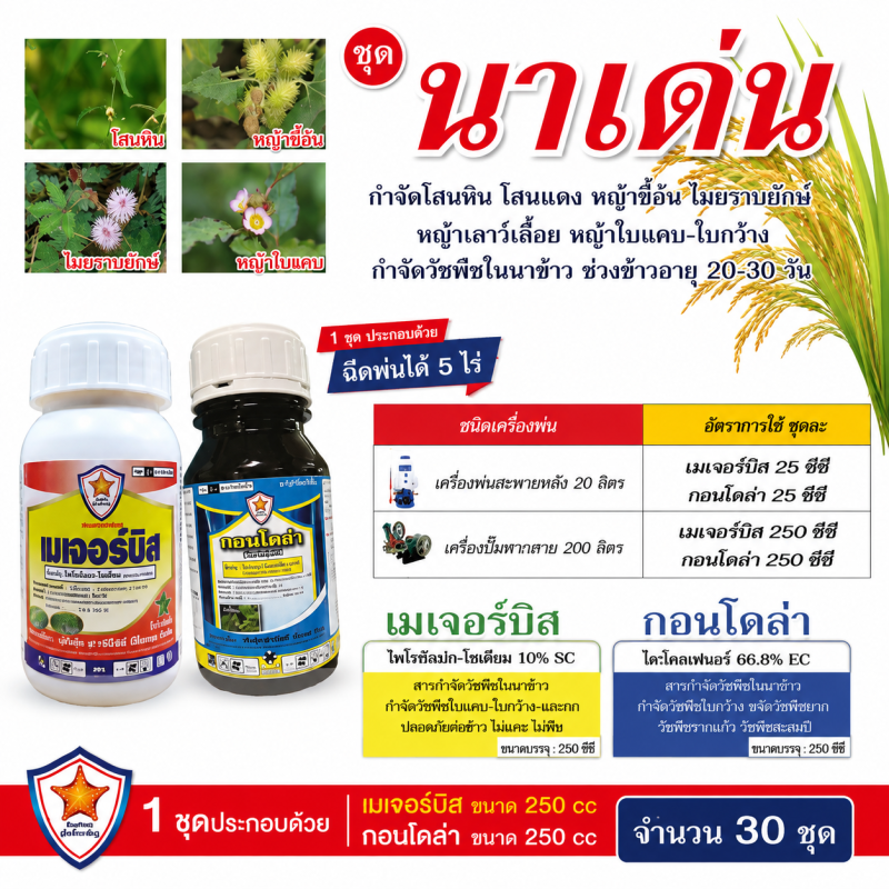 ค้าส่งยกลัง ชุดนาเด่น (เมเจอร์บิส + กอนโดล่า ) ( 1 เซ็ต x 30ชุด.)