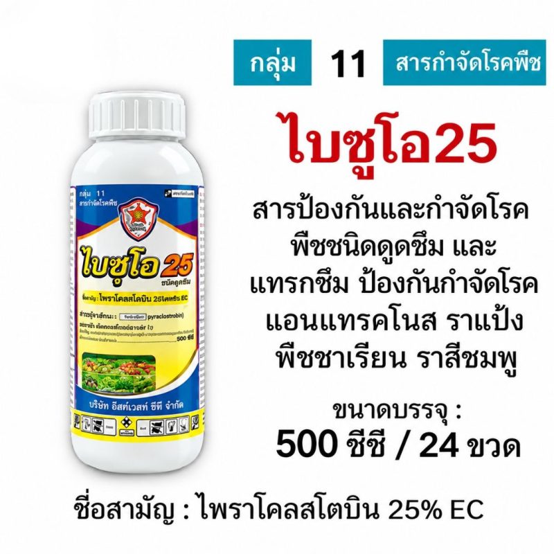 ค้าส่งยกลัง ไบซูโอ 25 (ไพราโคลสโตรบิน25%) ( 500cc x 24 ขวด.)