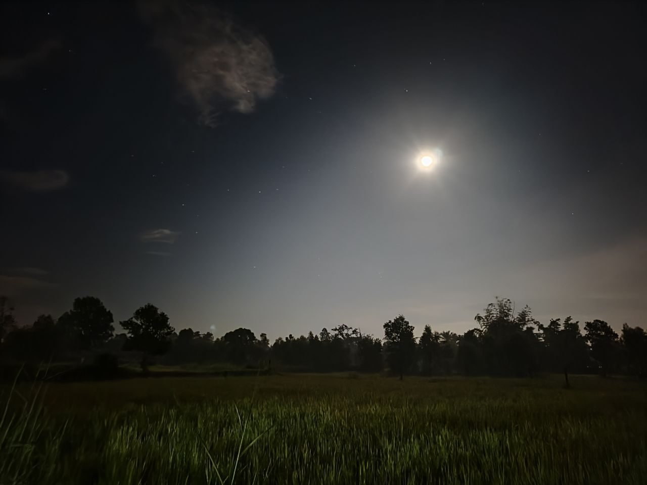 ทุ่งนา จันทรา และราตรีเดียว — รูปที่ 1