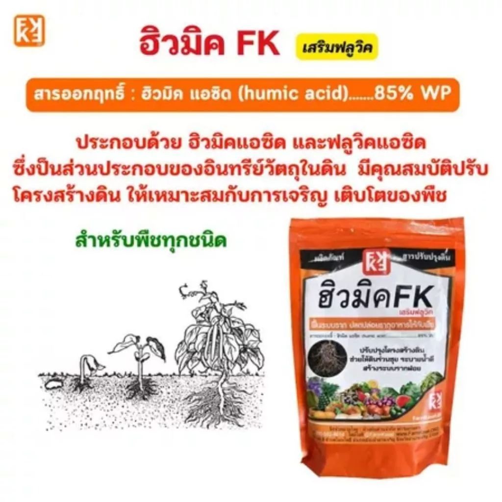 รูปประกอบกระทู้: มันสำปะหลัง ช่วงฝน รากไม่เดิน ใบเหลือง หัวไม่ขยาย ใช้ ฮิวมิค FK